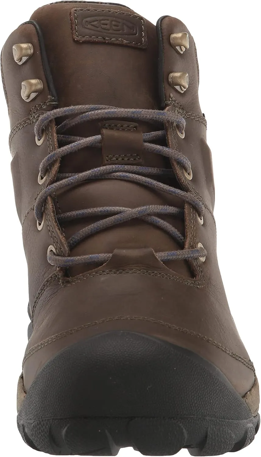 KEEN Men's Targhee 2 Waterproof Insulated Hiking Boot