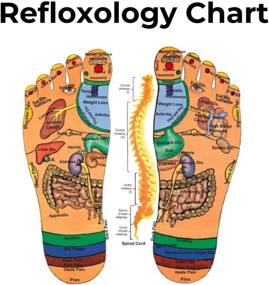 Reflexology Foot Pressure Point Massage Tools Mat Massage Slippers Slides Sandals Shoes, Back Knee Feet Arch Heel Pain and Tension Relief Products Gifts (M-Men(7-8) Women(8.5-9.5), 2Pairs)